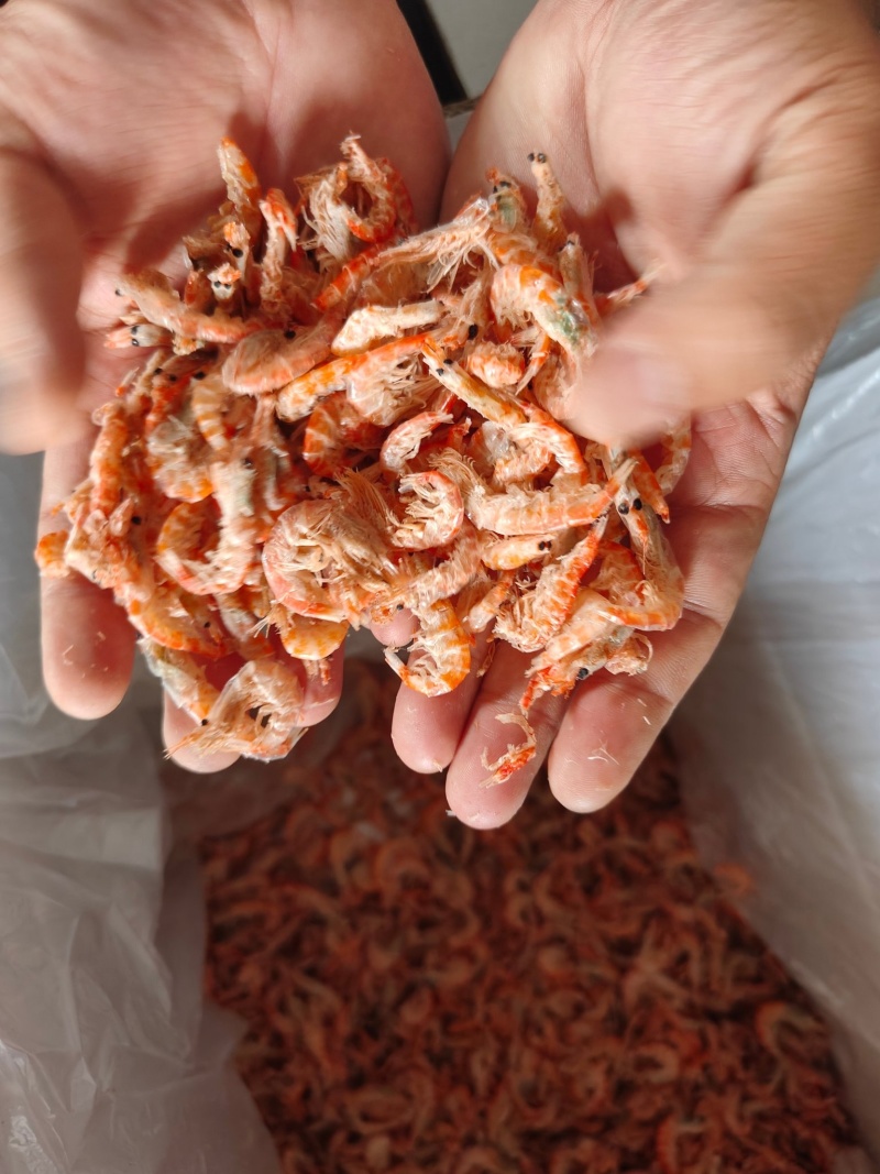 源头厂家，冻品，烘干，南极磷虾产品