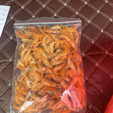 淡水河虾隔离捕捞特大河虾带籽
