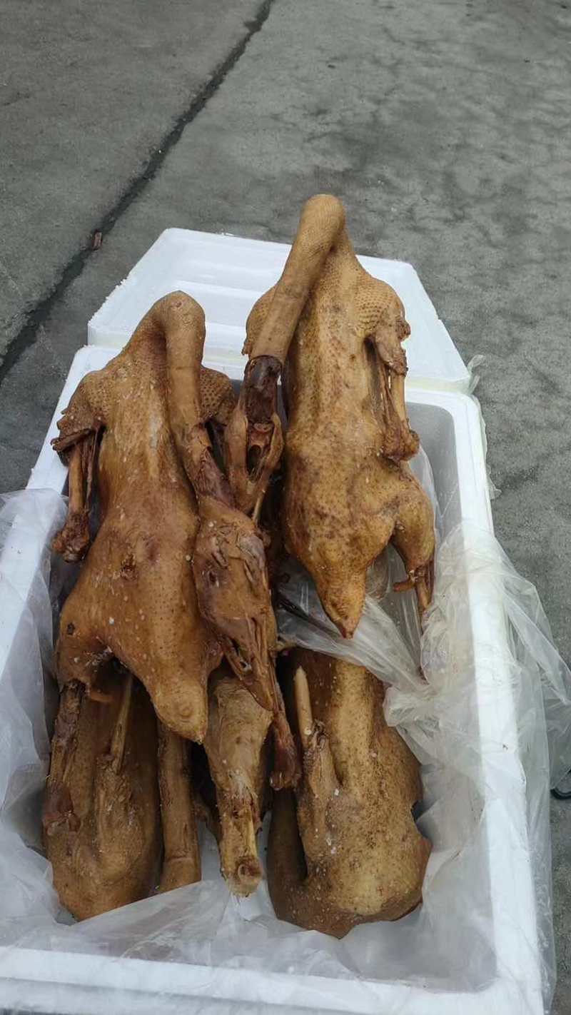 正宗荣昌卤鹅，口感适中，品质有保障，全国直发，大量现货