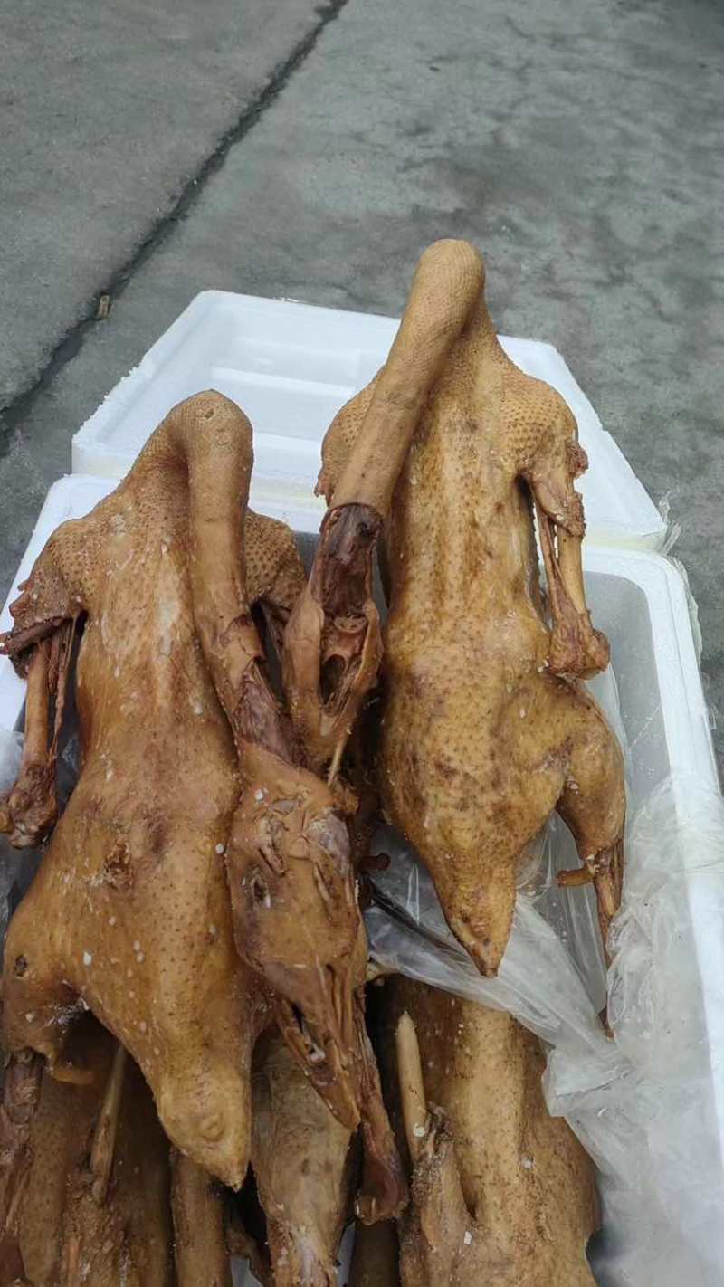 正宗荣昌卤鹅，口感适中，品质有保障，全国直发，大量现货