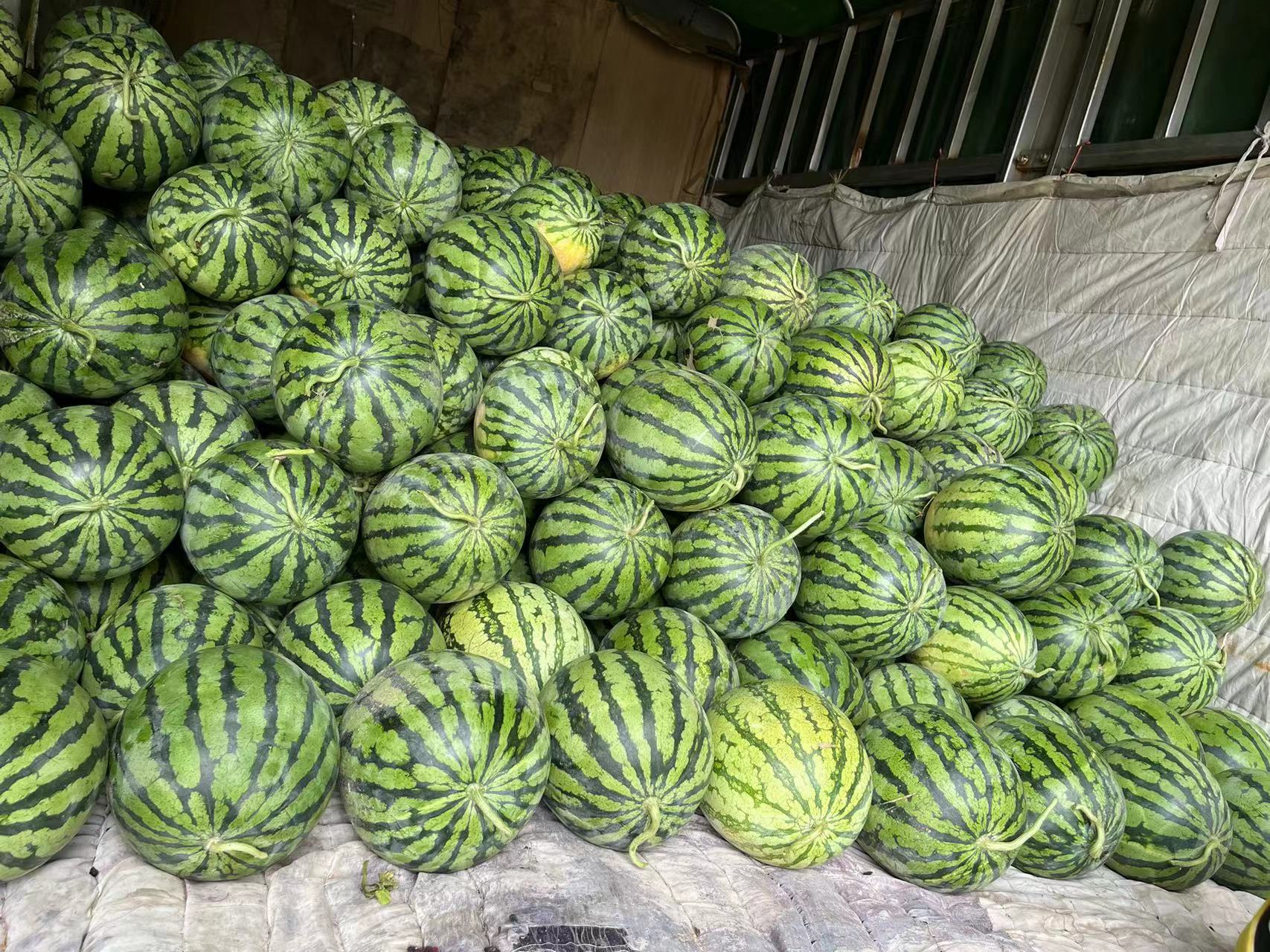 西瓜在市场中堆叠摆放