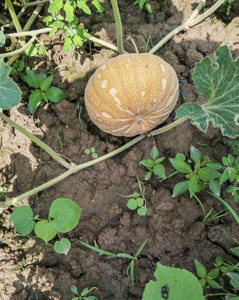 保证质量