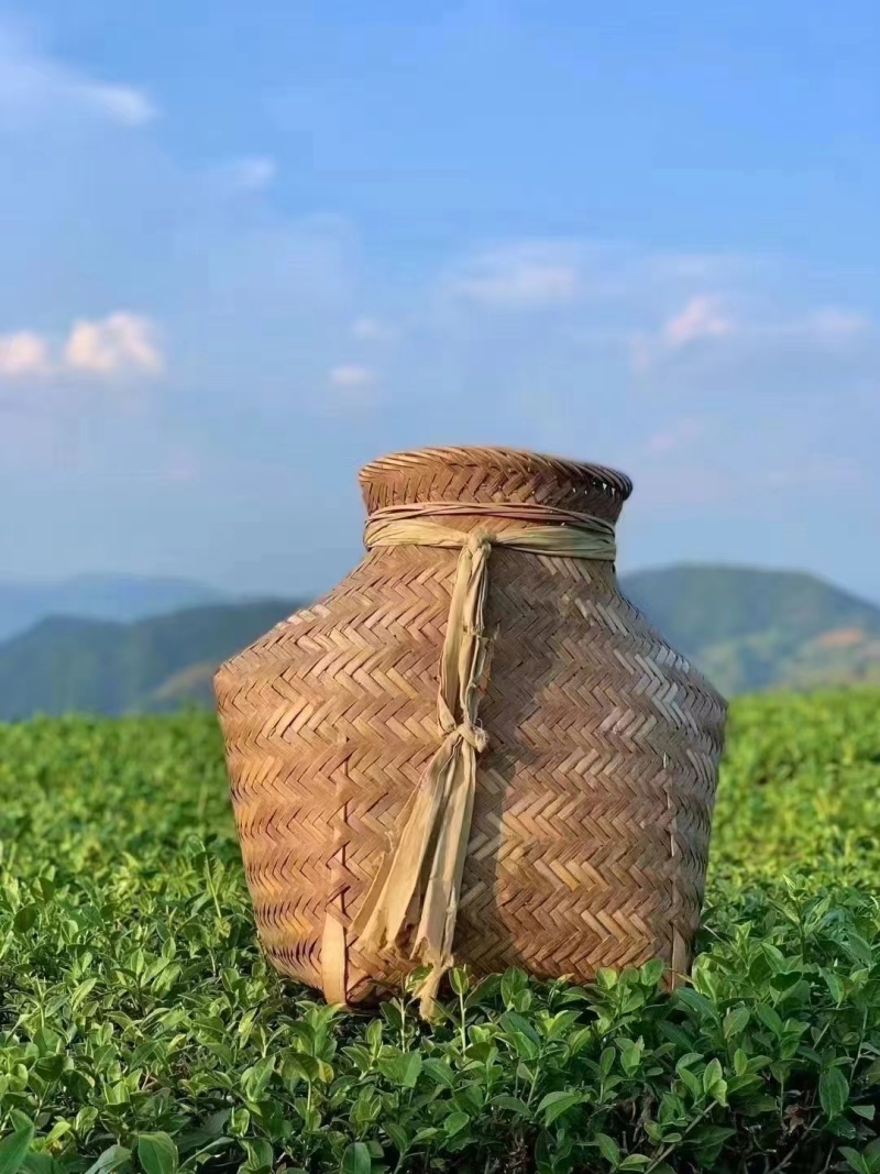 铁观音批发，产地正宗，品质有保证，价格实惠自己有茶山