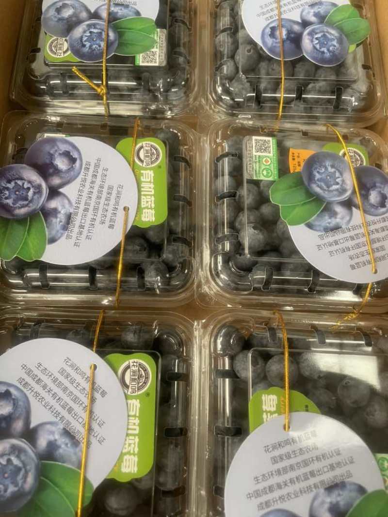 有机蓝莓，三方认证，品质保障，欢迎前来合作。