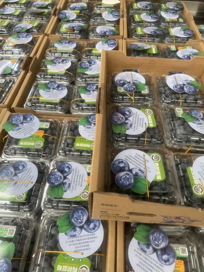 有机蓝莓，三方认证，品质保障，欢迎前来合作。
