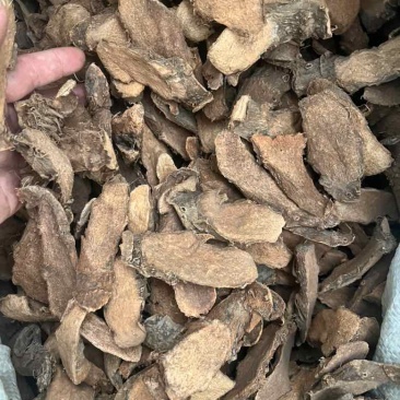 簕茨菇