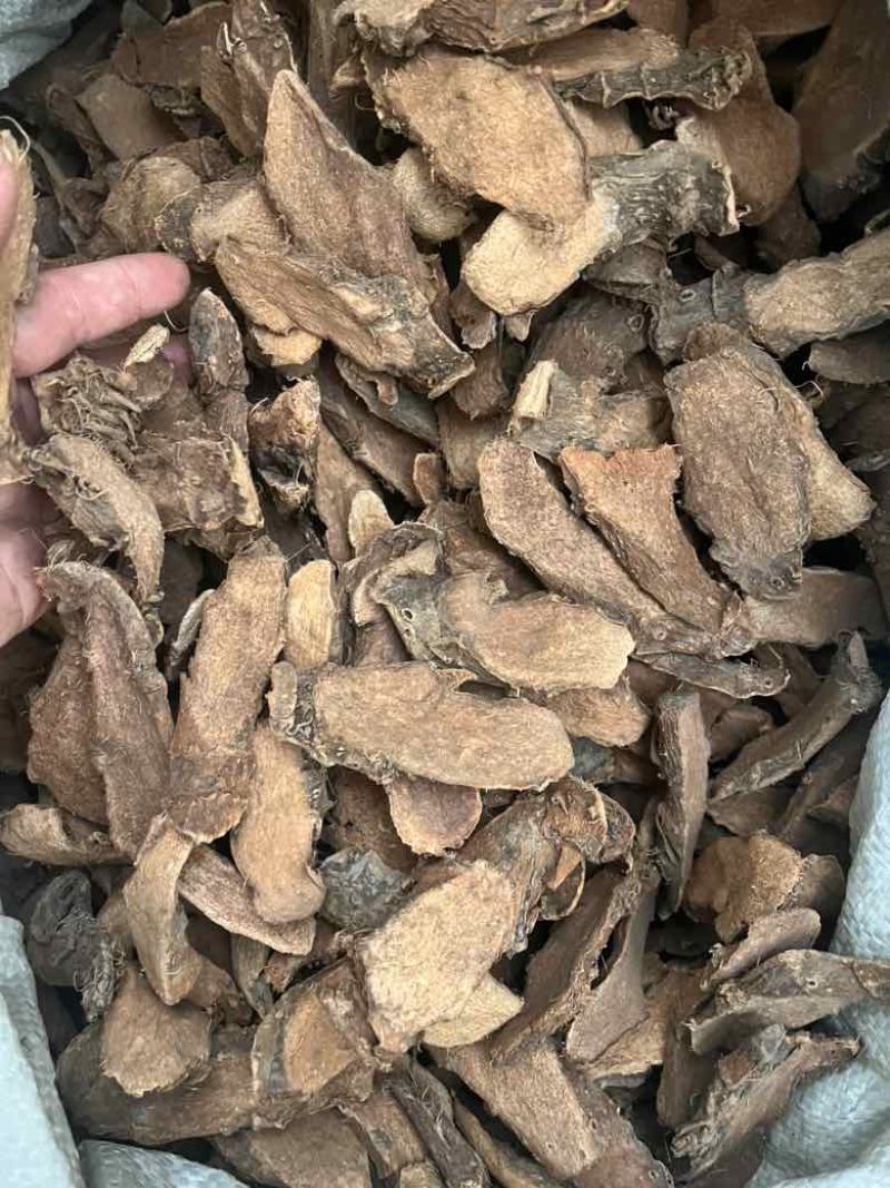簕茨菇
