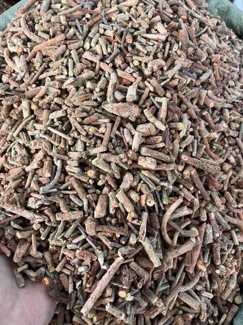 茜草