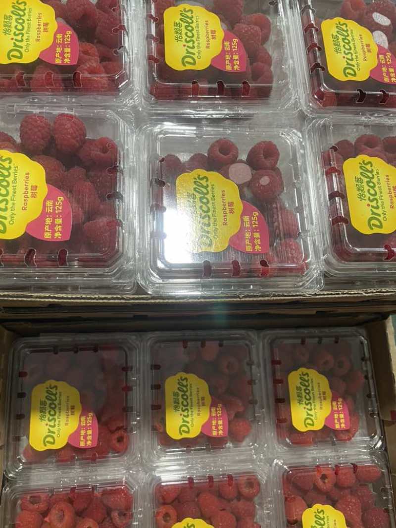 树莓（怡颗莓）覆盆子基地发货，品质好，价格小贵。