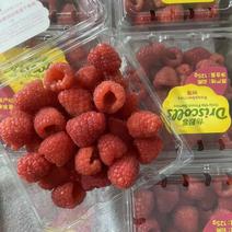 树莓（怡颗莓）覆盆子基地发货，品质好，价格小贵。