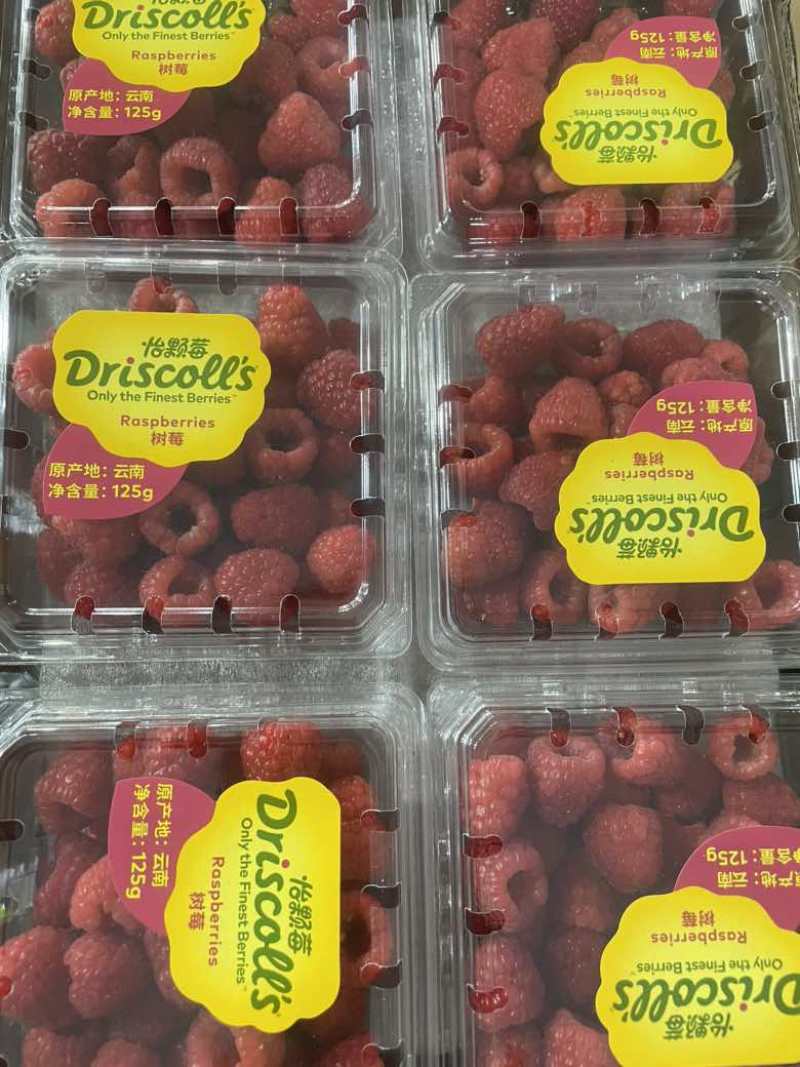 树莓（怡颗莓）覆盆子基地发货，品质好，价格小贵。