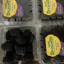 黑莓（怡颗莓）单果13克，黑树莓，黑覆盆子。