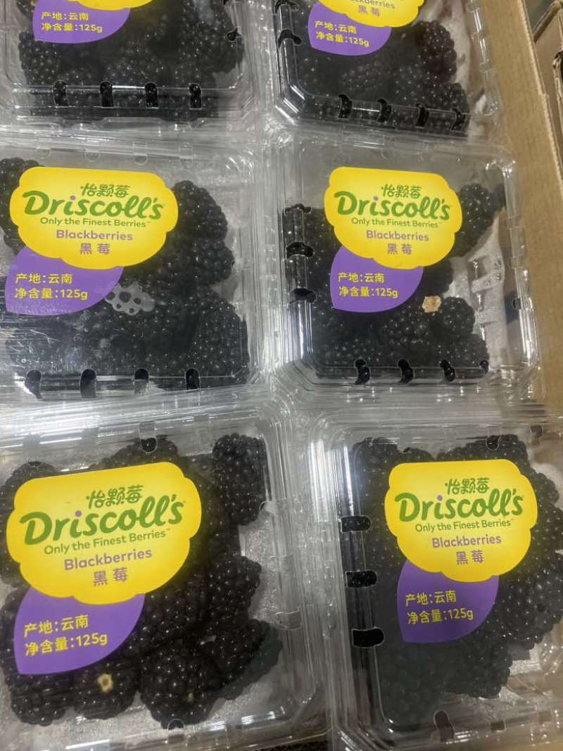 黑莓（怡颗莓）单果13克，黑树莓，黑覆盆子。