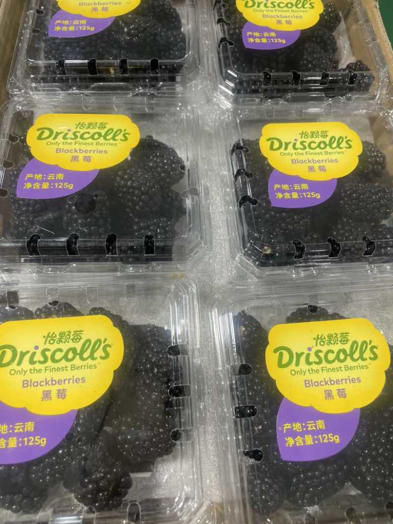 黑莓（怡颗莓）单果13克，黑树莓，黑覆盆子。