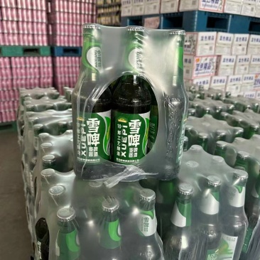 规格∶500×9瓶塑包8度玻璃瓶啤酒，源头厂家，低价招商中