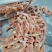 肉食30-40爪