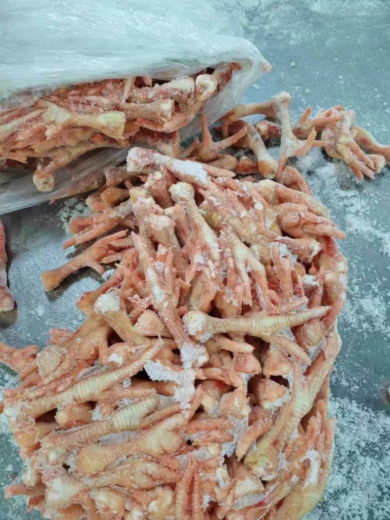 肉食30-40爪