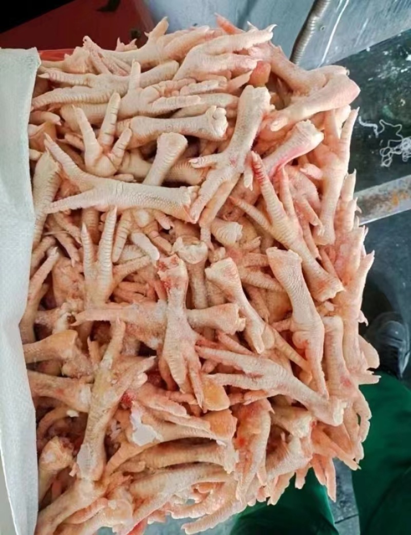肉食30-40爪