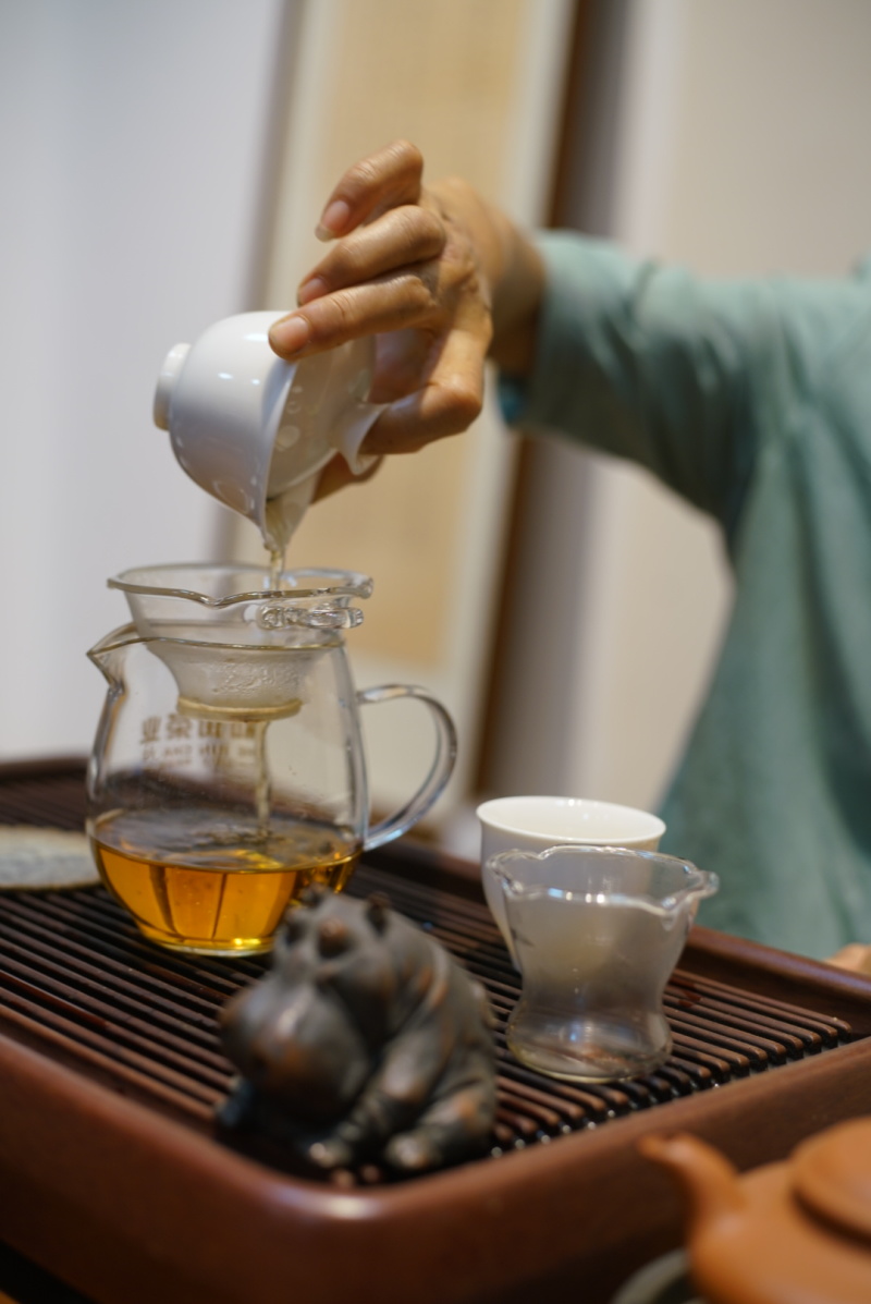 云南普洱江城各种茶叶