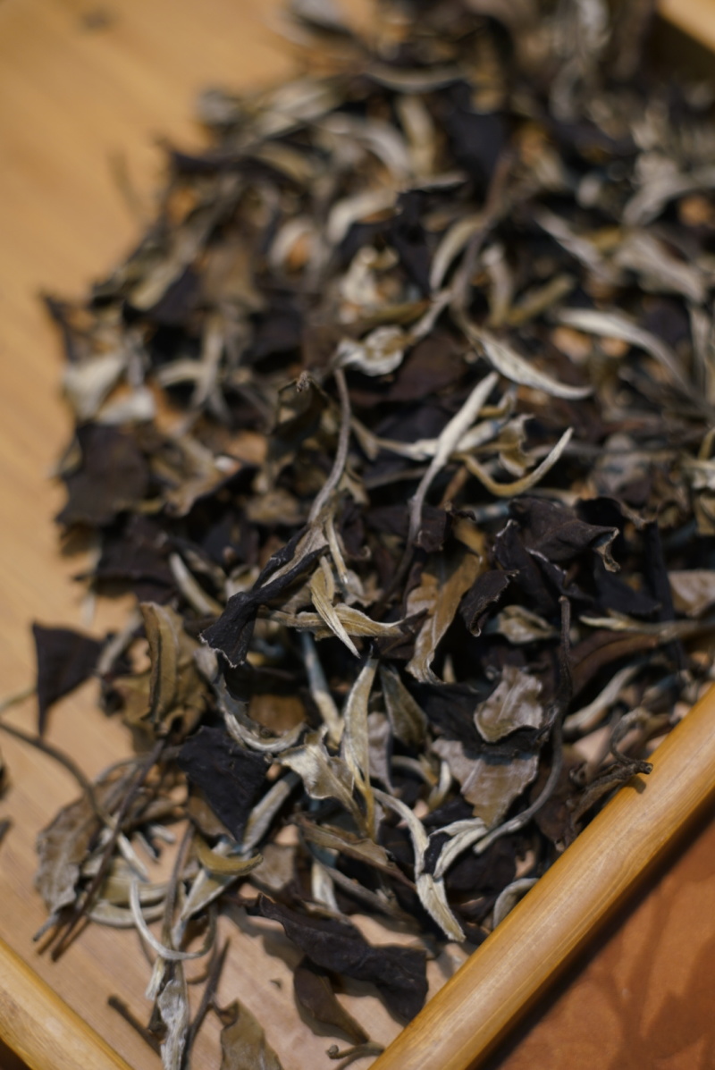 云南普洱江城各种茶叶