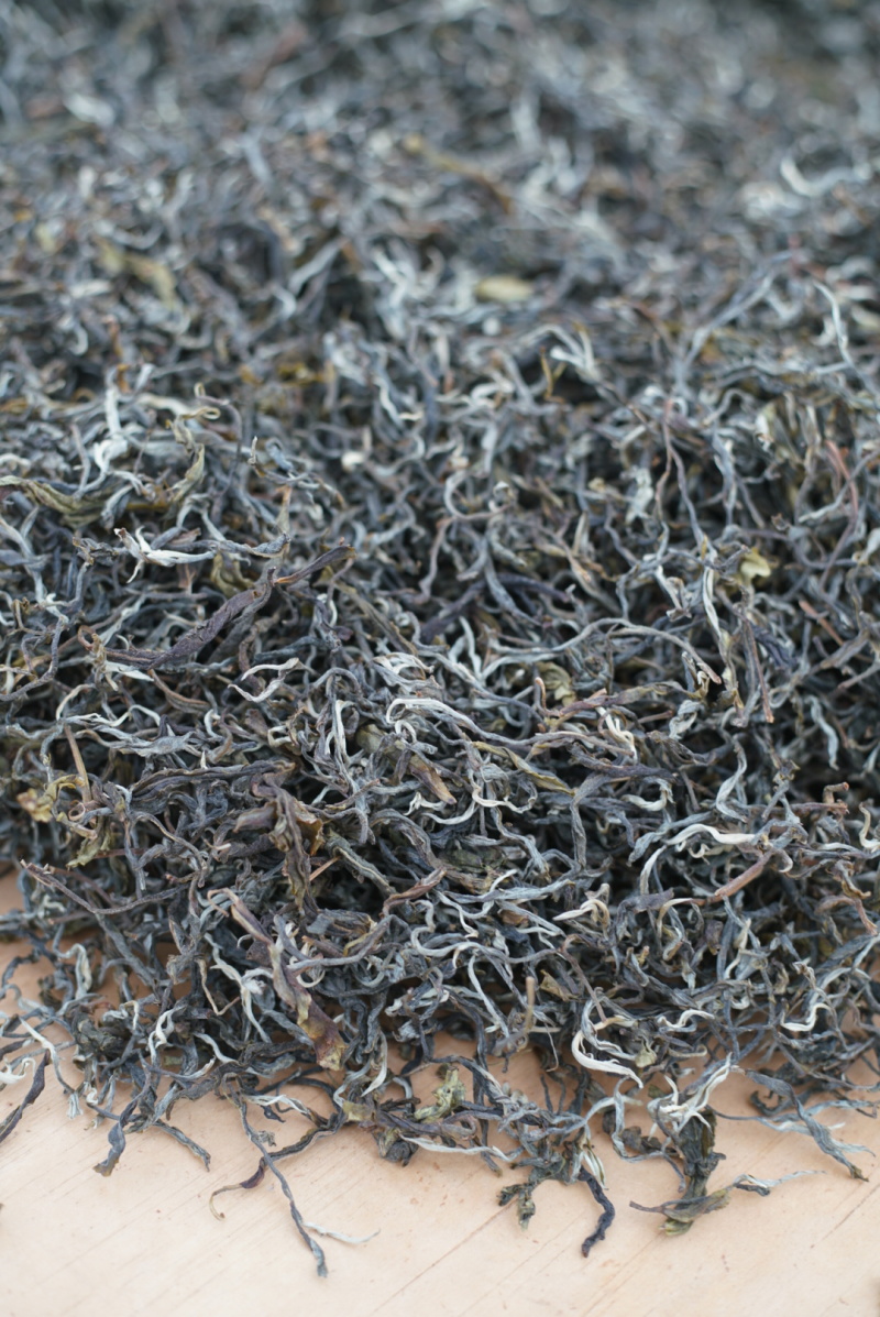 云南普洱江城各种茶叶