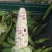 精品花玉米