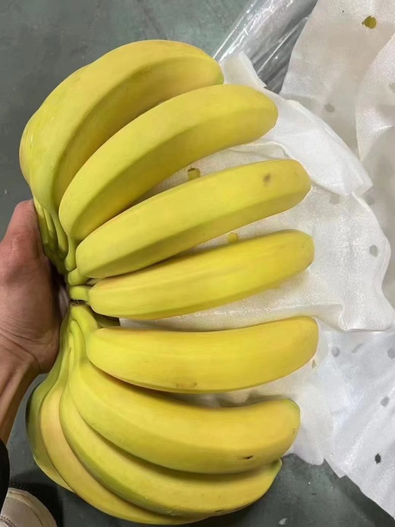 特价精品二黄蕉，色泽金黄，规模4-5-6，口感软糯香甜。