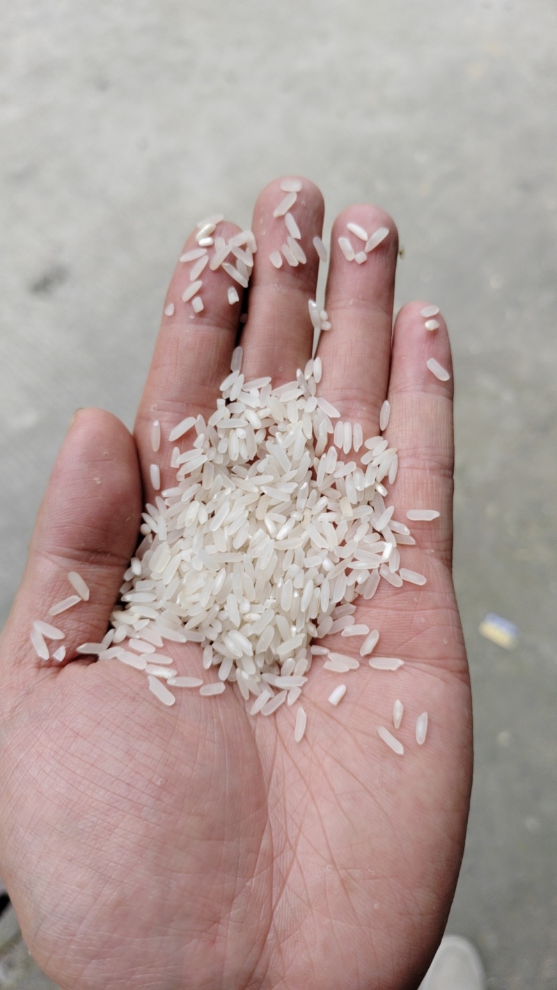 各大平台代发各种规格，重量的电商大米。有做大米电商的看过来。