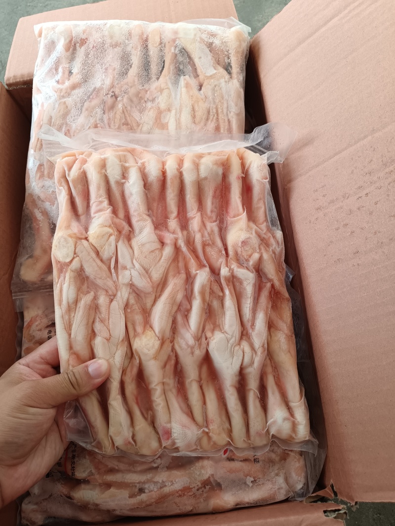 大鸭掌