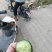 瓷玉6号精品黄瓜