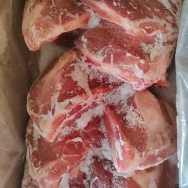 肥猪猪扇骨带肉率50%以上8-10个5吨现货
