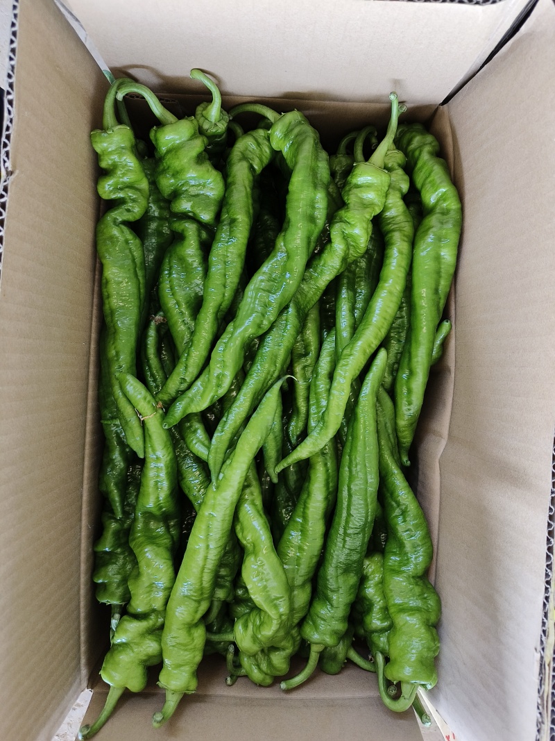 精品螺丝椒