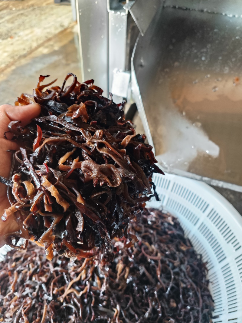螺丝粉专用毛木耳丝