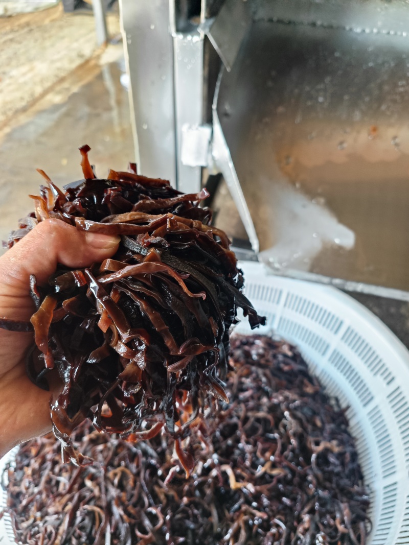 螺丝粉专用毛木耳丝