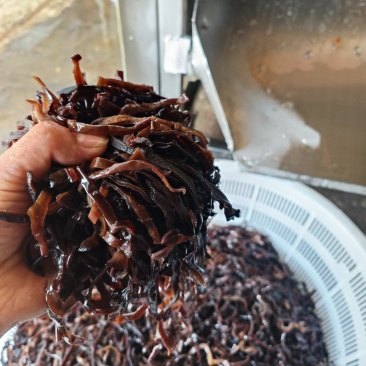 螺丝粉专用毛木耳丝