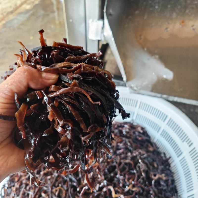 螺丝粉专用毛木耳丝