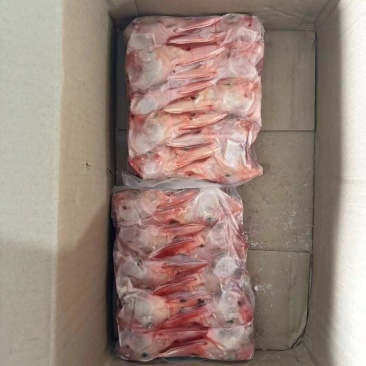 一级鸭10头6吨