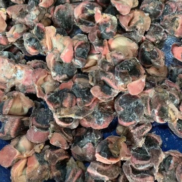 单冻去肚乌鸡胗