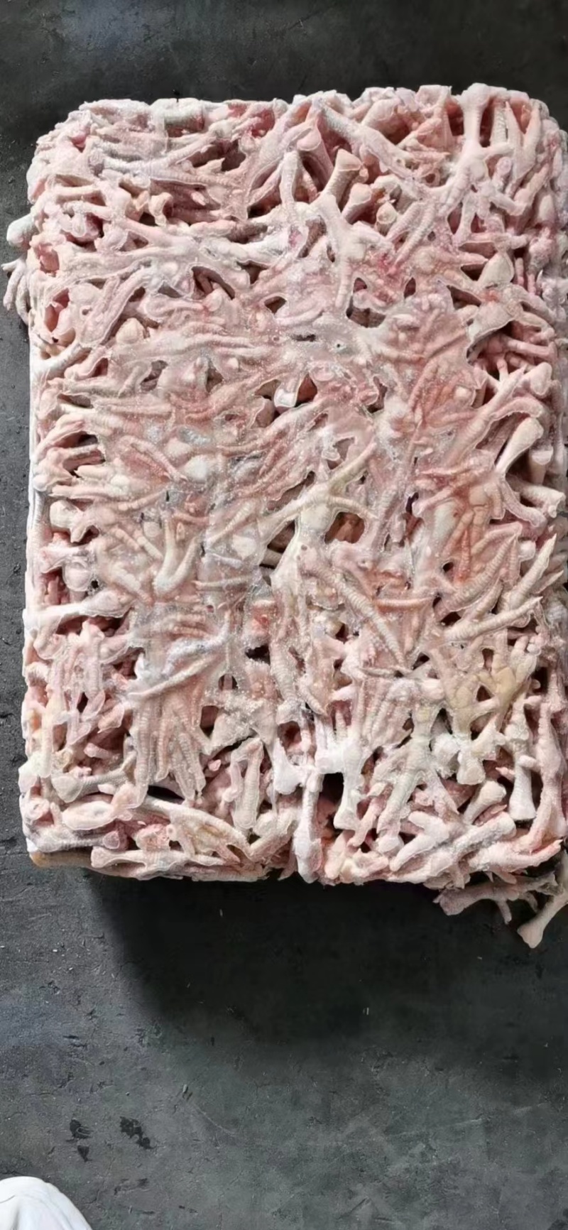 奥祥小爪
