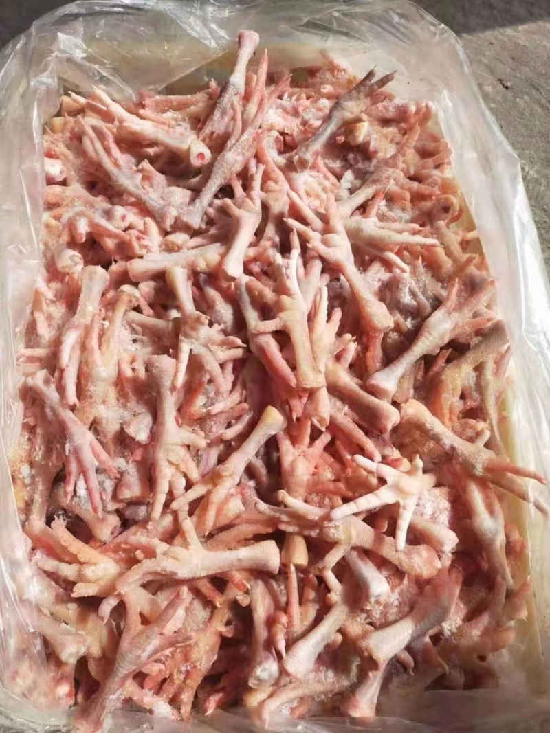 奥祥小爪