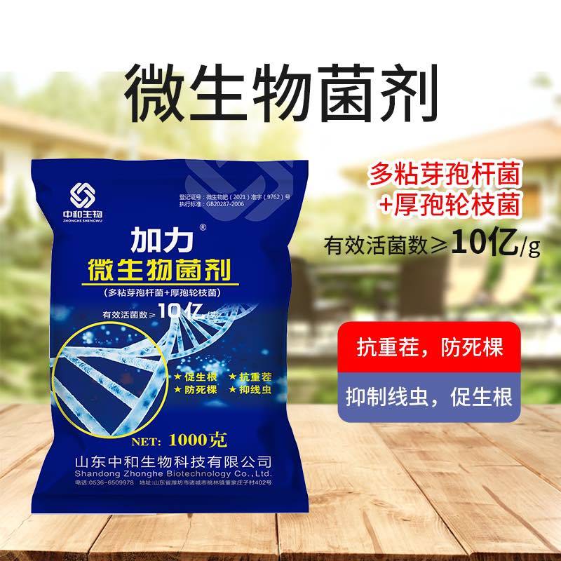 促生根，防死棵，抗重茬，抑线虫1000g/袋