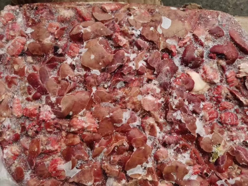 肉食鸡肝