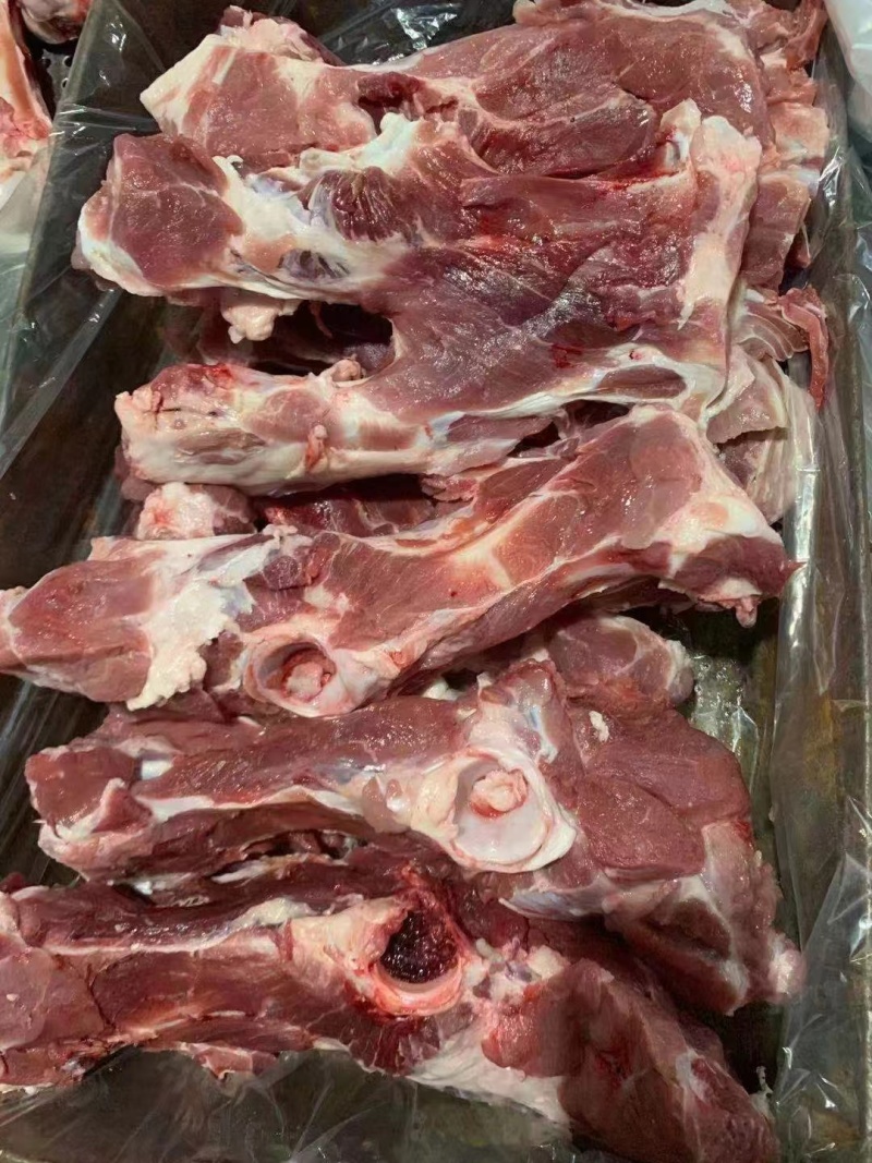 母猪尾叉骨