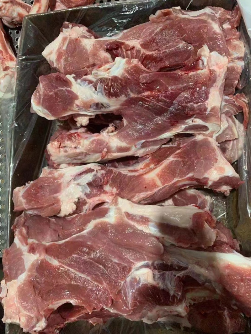 母猪尾叉骨