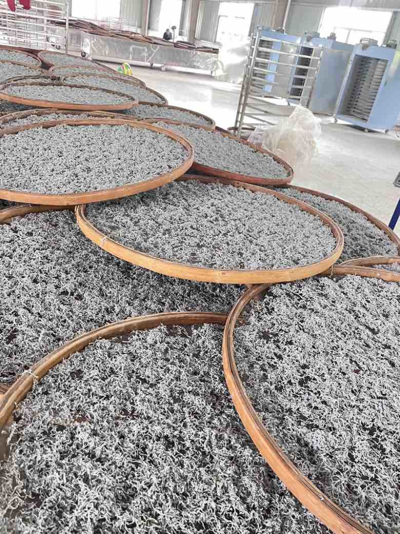 来凤藤茶送礼礼盒包装特级藤茶湖北恩施来风县种植基地产地直发