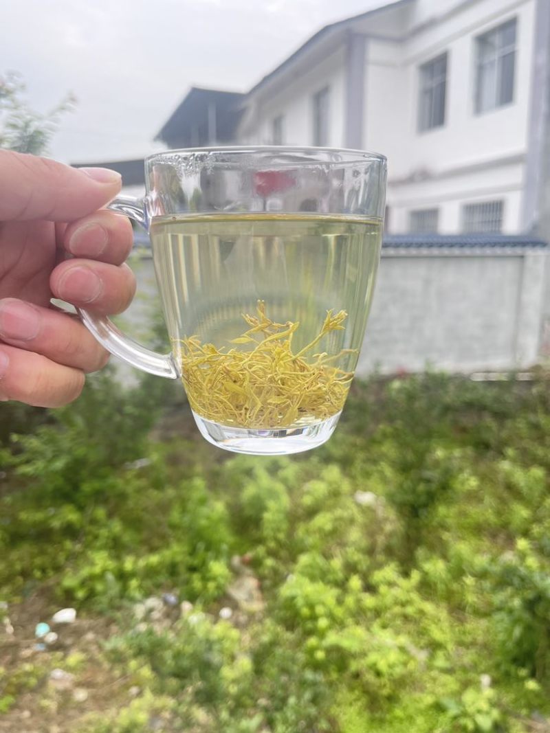 来凤藤茶送礼礼盒包装特级藤茶湖北恩施来风县种植基地产地直发