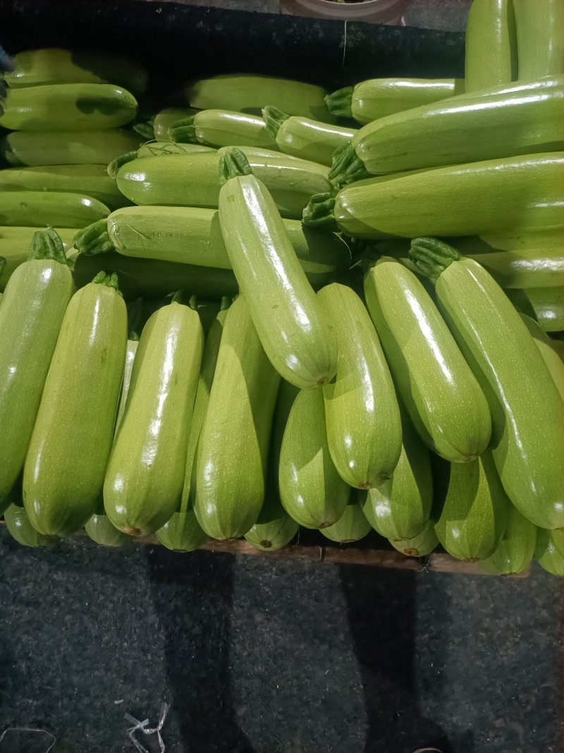 精品西葫芦，绞瓜，统货西葫大量供应