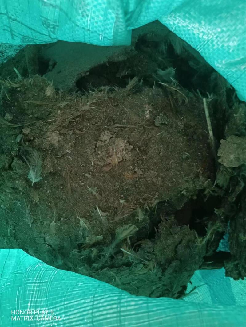 有机肥，鸡粪