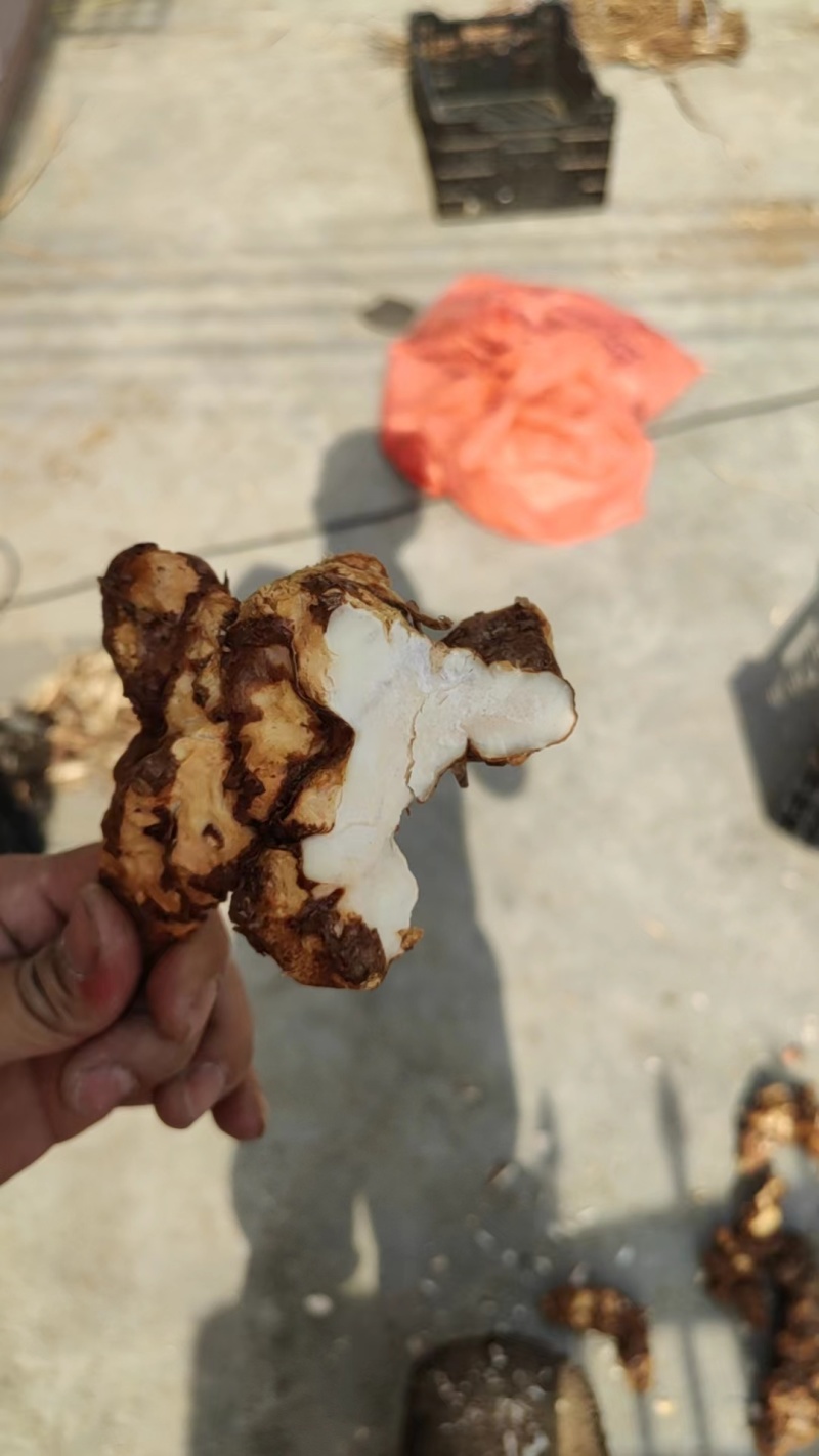 有机土茯苓无添加24小时在线服务自产自销