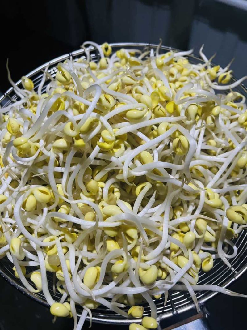 小胖墩粗段绿豆芽，不段黄豆芽